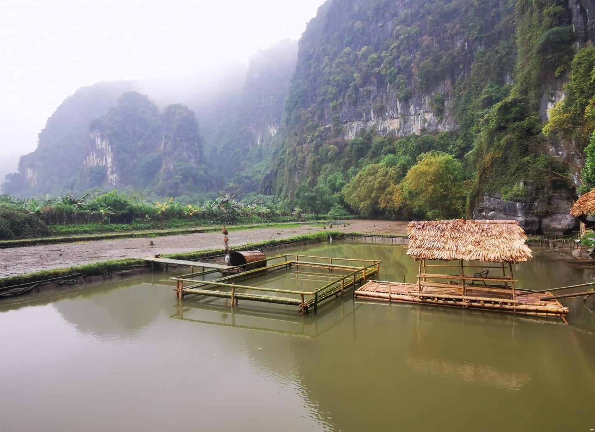 Truong Son Luxury Homestay Ninh Binh Exterior photo